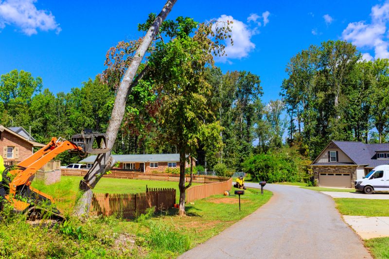 Commercial Property Tree Clearance