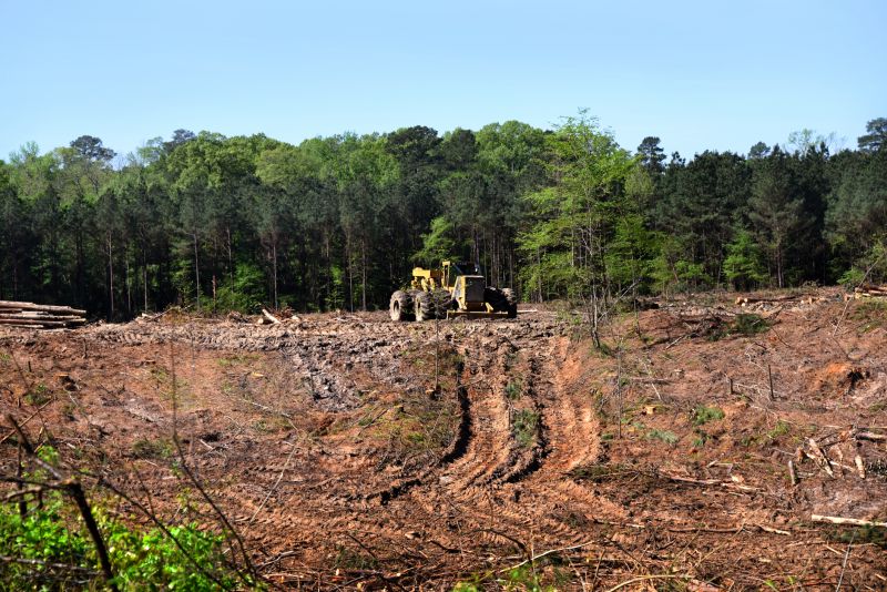 Lake Lot Clearing in Cumming, GA
