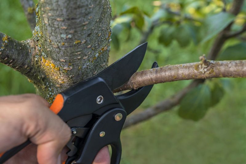 Root Pruning Techniques